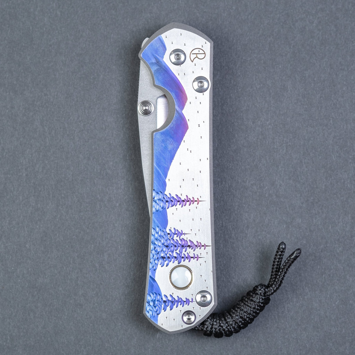 Chris Reeve Large Sebenza 31 Drop Point - Night Sky - URBAN EDC®