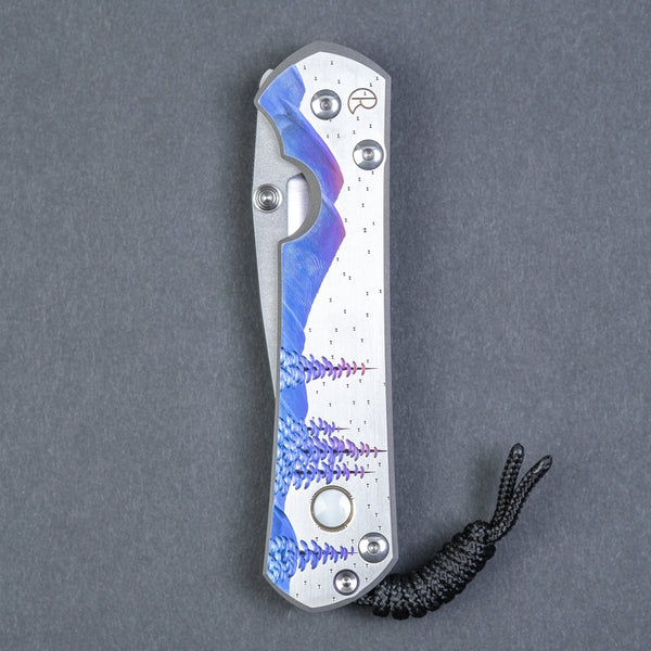 Chris Reeve Large Sebenza 31 Drop Point - Night Sky - URBAN EDC®