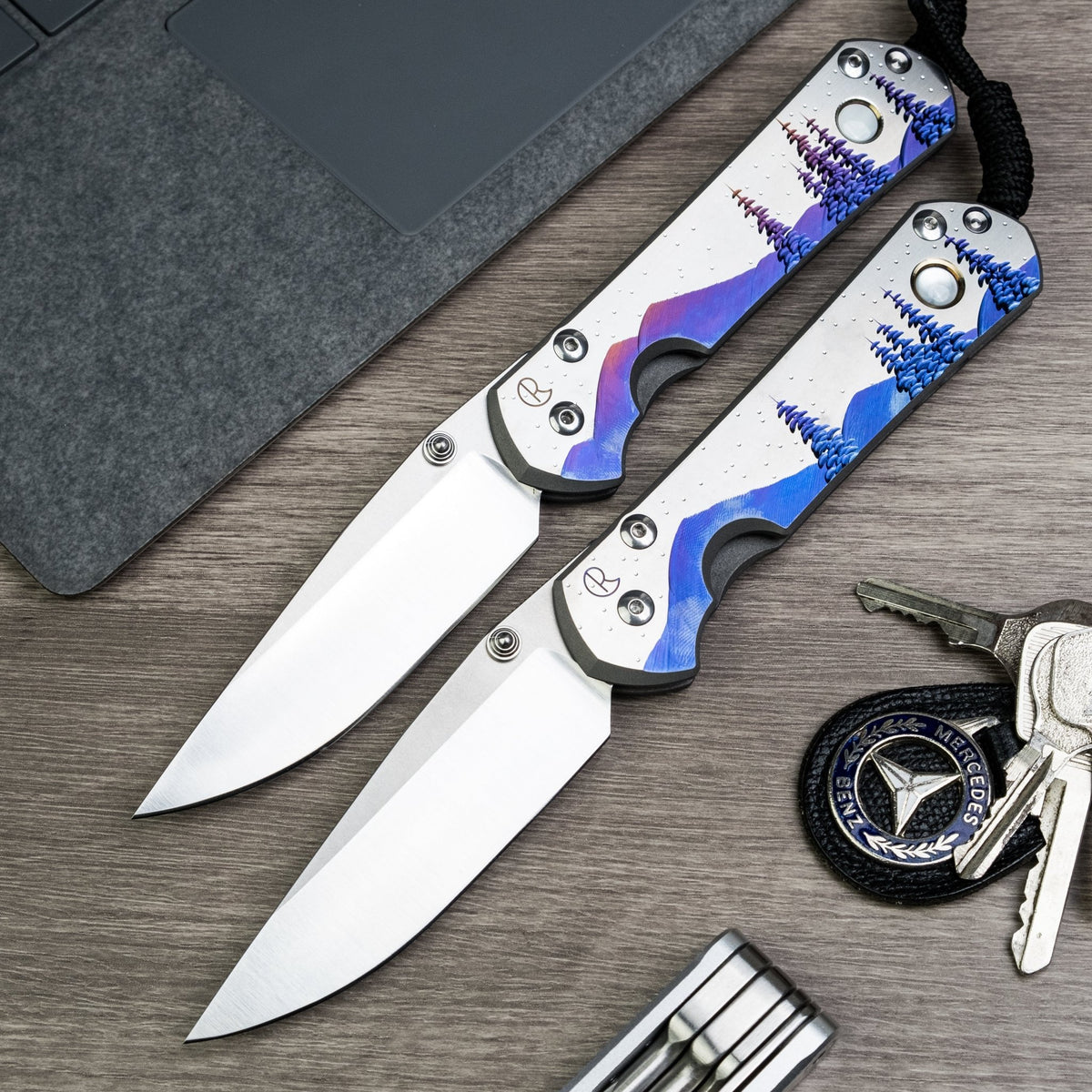 Chris Reeve Large Sebenza 31 Drop Point - Night Sky - URBAN EDC®